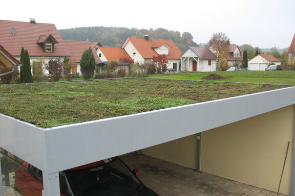 Doppelcarport_mit_Dachbegruenung.JPG